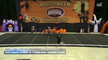 Top Dawg Cheer & Tumbling - Sassy Pups [2025 L1 Tiny - Novice - Evaluation Day 1] 2025 Cheer Power San Antonio Halloween Challenge