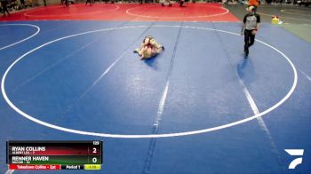 125 lbs Semis & 1st Wrestleback (8 Team) - Ryan Collins, Albert Lea vs Renner Haven, Rocori