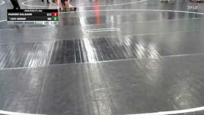 123 lbs Champ. Round 1 - Levi Green, Rogue Wrestling Academy vs Parker Dalgard, KC Elite Training Center