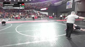 175 lbs Champ. Round 1 - Landyn Walmer, Weston Wrestling Club vs Jack Newbury, Tomah