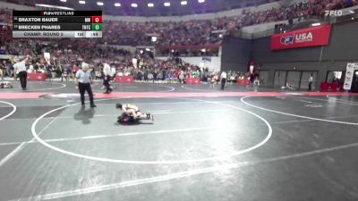 51 lbs Champ. Round 2 - Brecken Phares, Team Nazar Training Center vs Braxton Bauer, MES Wrestling