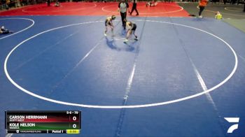 70 lbs Quarterfinal - Carson Herrmann, Scott West vs Kole Nelson, Waseca