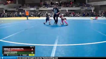 45 lbs Semis (4 Team) - Kinsley Kothenbeutel, Pine Island vs Mason Haugen, Zumbrota-Mazeppa