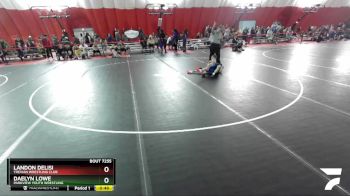 75-80 lbs Round 2 - Landon Delisi, Trevian Wrestling Club vs Daelyn Lowe, Parkview Youth Wrestling