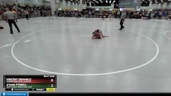 100 lbs Cons. Round 5 - Ethan Powell, Ohio Dawgz Wrestling Club vs Vincent DeMarco, Askren Wrestling Academy