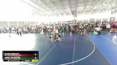 65 lbs Semifinal - Kloee Bingham, Bear River Wrestling Club vs Aiden Valentine, Evanston Elite Wrestling