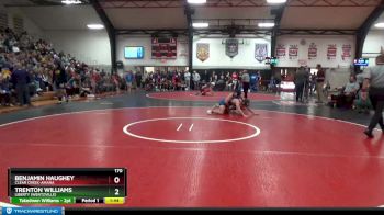 170 lbs Round 2 - Trenton Williams, Liberty (Wentzville) vs Benjamin Haughey, Clear Creek-Amana