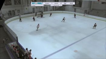 Replay: Home - 2024 RHC U13 AA vs Bandits 13U AA | Jan 7 @ 2 PM