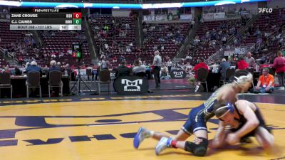 127 lbs Consi 4 - Zane Crouse, Bishop McDevitt vs C.J. Caines, Hanover Area