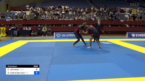 Erik Johnson vs Diego Vieira Barrozo 2024 Pan IBJJF Jiu-Jitsu No-Gi Championship