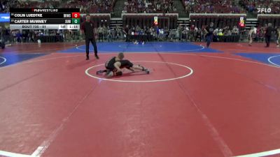 61 lbs Champ. Round 2 - Colin Luedtke, Ronan Wrestling vs Carter Mummey, Bearcats Wrestling Club Helena