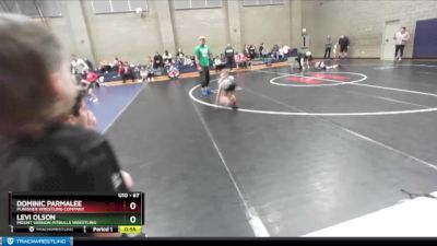 67 lbs Semifinal - Dominic Parmalee, Punisher Wrestling Company vs Levi Olson, Mount Vernon Pitbulls Wrestling