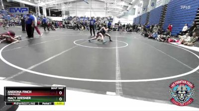 95 lbs Cons. Semi - Andiona Finch, Trailblazer vs Macy Wiesner, Trailblazer