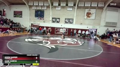 106 lbs Semifinal - Amon Napier, Torrington vs Kade Garcia, Worland