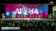Masters City Cheer - Daisies [2025 L1.1 Youth - PREP - D2 Day 1] 2025 Aloha Gatlinburg Showdown