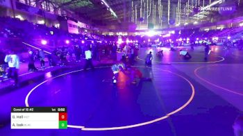 113 lbs Consi Of 16 #2 - Andrew Isek, Black Fox Wr Ac vs Gabriel Hall, Victory Training Center