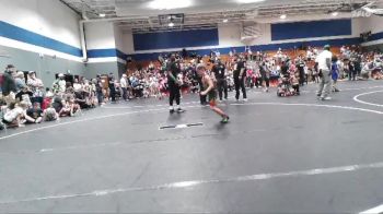 65 lbs Quarterfinal - Carson Dynski, Summerville Take Down vs Yuchen Xing, Cobra Wrestling Club