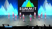 DanceWorks - Mini HH [2025 Mini Coed - Hip Hop Finals] 2025 The Dance Summit