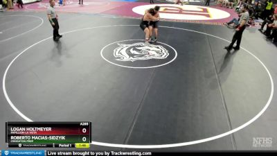 Quarterfinal - Logan Holtmeyer, Papillion-La Vista vs Roberto Macias-Sidzyik, Creighton Prep