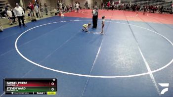 45 lbs Semis (4 Team) - Samuel Priebe, Chatfield vs Steven Ward, Hastings