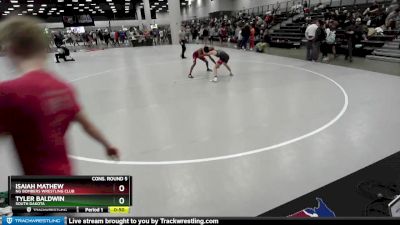 113 lbs Cons. Round 5 - Tyler Baldwin, South Dakota vs Isaiah Mathew, NG Bombers Wrestling Club