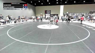138 lbs Champ. Round 2 - Elijah Rice, OK vs William Palmer, AR