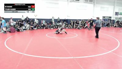 146 lbs Round Robin 2 - Dj Mabie, Front Royal - HS vs Tyler Ulmer, Ohio Gold - HS