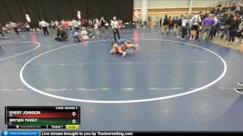 136 lbs Cons. Round 3 - Brysen Manly, IL vs Emery Johnson, PA