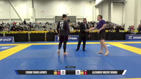 Alexander Vincent DeRiggi vs Corbin Travis LaPorte 2025 World IBJJF Jiu-Jitsu No-Gi Championship