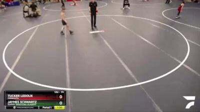 74 lbs Cons. Round 2 - Tucker Ledoux, Minnesota vs Jaymes Schwartz, Summit Wrestling Academy