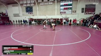 138 lbs Champ. Round 1 - Bridger Herring, Rawlins vs Jaeden Ruiz, Torrington