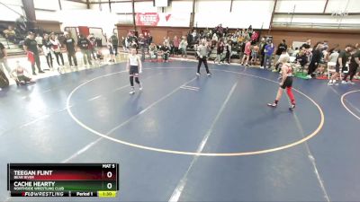 90 lbs Quarterfinal - Teegan Flint, Bear River vs Cache Hearty, Northside Wrestling Club