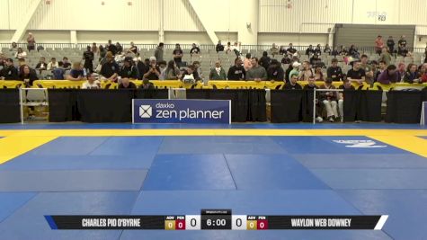 Waylon Web Downey vs Charles Pio O'Byrne 2025 World IBJJF Jiu-Jitsu No-Gi Championship