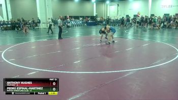 113 lbs Semis & 1st Wrestleback (8 Team) - Anthony Hughes, Palm Bay vs Pedro Espinal-Martinez, Naples Wrestling Club