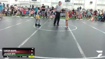 64 lbs Round 2 (6 Team) - Carter Board, Team West Virginia Gold vs Jackson Bish, Revolution Elite