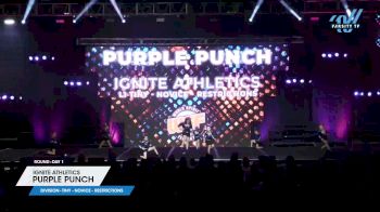 Ignite Athletics - Purple Punch [2024 L1 Tiny - Novice - Restrictions Day 1] 2024 WSF Grand Nationals