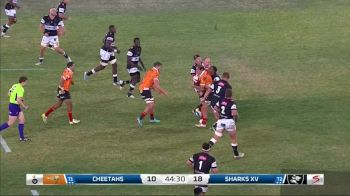 Replay: Cheetahs vs Sharks - 2024 Free State Cheetahs vs Sharks | Aug 17 @ 3 PM