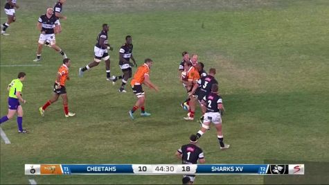 Replay: Cheetahs vs Sharks - 2024 Free State Cheetahs vs Sharks | Aug 17 @ 3 PM