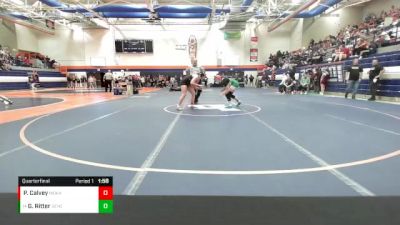 140 lbs Quarterfinal - Gia Ritter, Geneseo vs Palmer Calvey, Minooka