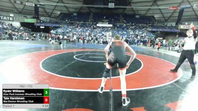 113 lbs Champ. Rd Of 16 - Ryder Williams, Deer Park Ironman Wrestling Club vs Tate Harshman, Mat Demon Wrestling Club