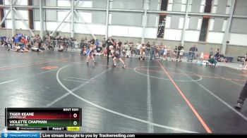 66-66 lbs Round 3 - Tiger Keane, Lewiston WC vs Violette Chapman, Mat Demon WC