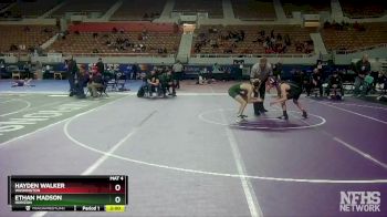 D2-113 lbs Champ. Round 1 - Hayden Walker, Washington vs Ethan Madson, Horizon