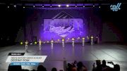 Fierce Factory Dance & Talent - Destiny Pom [2025 Youth - Pom - Small Day 1] 2025 Power Dance Grand Nationals