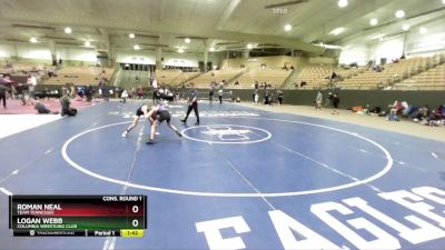 100 lbs Cons. Round 1 - Roman Neal, Team Tennessee vs Logan Webb, Columbia Wrestling Club