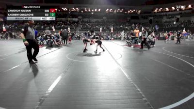 90 lbs Round Of 16 - Cameron Gibson, Bergenfield vs Andrew Cosgrove, Red Nose