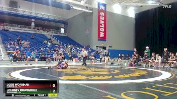 115 lbs Quarters & 1st Wb (16 Team) - Journey Drumgoole, Greenbrier vs Josie Workman, Lumpkin Co.