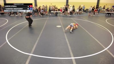 84 lbs Cons. Round 1 - Landon Atwell, IL vs Cashton Treuthardt, WI