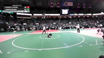 90 lbs Champ. Round 1 - Landon Wilson, NBHA vs Phoenyx Cortez, FDMA