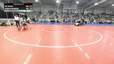 145 lbs Round Of 16 - Joe Shook, TNWC Silver Fox - HSB vs Kamdyn Borrero, Team Shutt Mutts - HSB