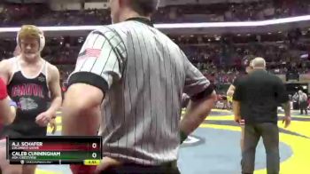 D3-215 lbs Champ. Round 1 - Caleb Cunningham, Ash. Crestview vs A.J. Schafer, Columbus Grove
